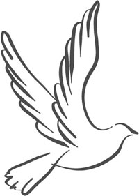 picture of a dove